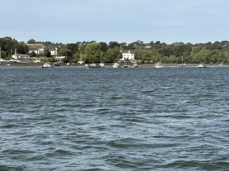 IMG_2636.jpg