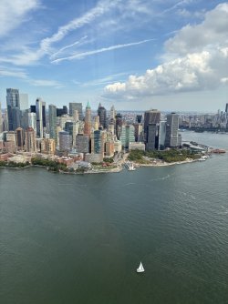 IMG_2511.jpeg