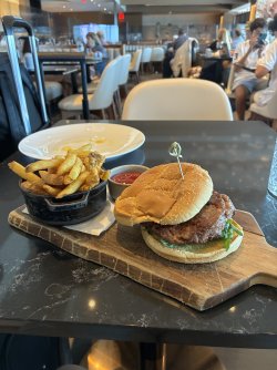 IMG_2525.jpeg IMG_2525.jpeg