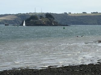 IMG_2644.jpg