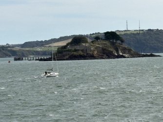 IMG_2667.jpg