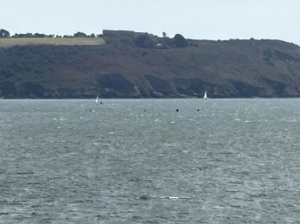 IMG_2669.jpg