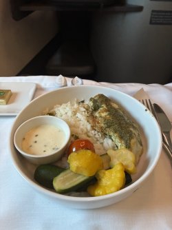IMG_2529.jpeg