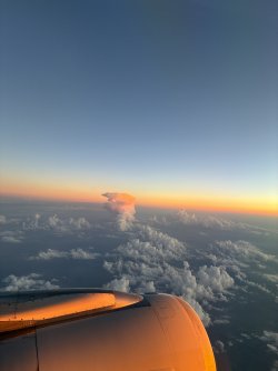 IMG_2531.jpeg