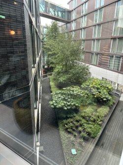 IMG_0176.JPG