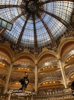 IMG_1766.jpeg