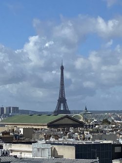 IMG_1775.jpeg