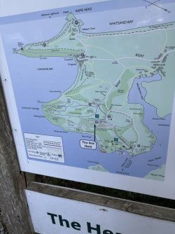 IMG_2705.jpg