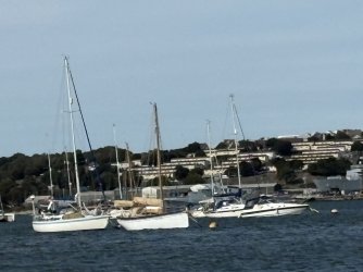 IMG_2725.jpg