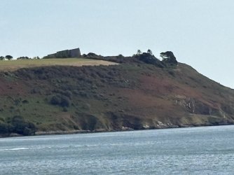 IMG_2766.jpg