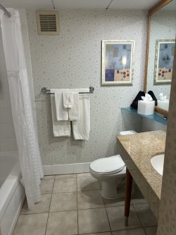 IMG_2533.jpeg