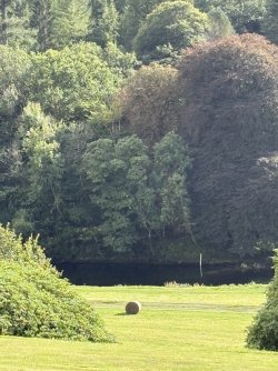 IMG_2805.jpg