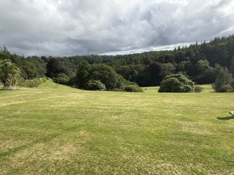 IMG_2806.jpg