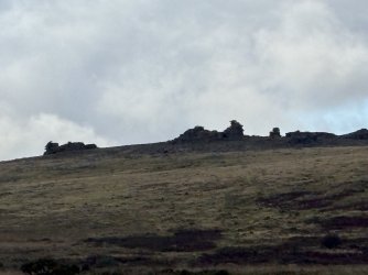 IMG_2840.jpg