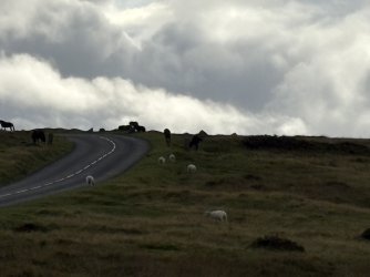 IMG_2857.jpg
