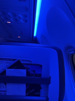 IMG_2552.jpeg IMG_2552.jpeg