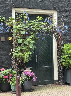 IMG_0189.JPG