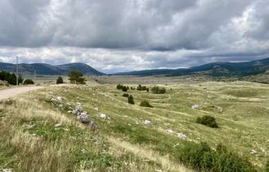 IMG_4646.jpeg