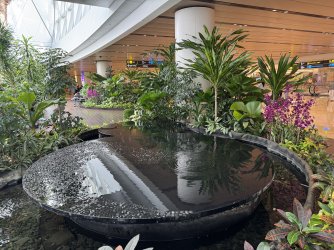 IMG_0096.jpeg