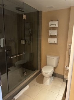 IMG_2555.jpeg