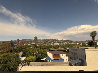 IMG_2556.jpeg