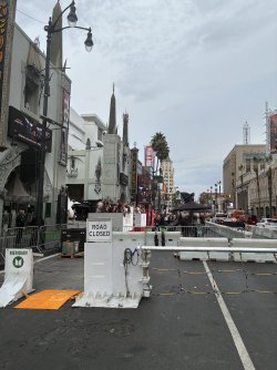 IMG_2558.jpeg