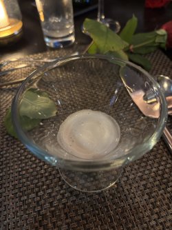 IMG_0267.JPG