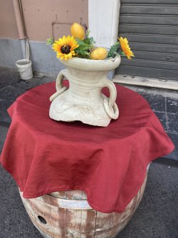 IMG_1923.jpeg