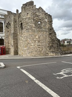 IMG_2955.jpg