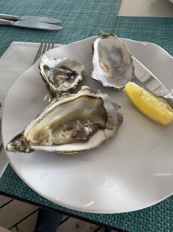 IMG_3694.jpeg