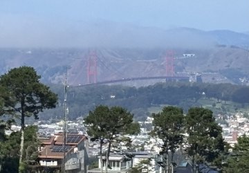IMG_7412.jpeg
