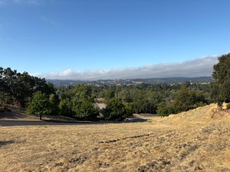 IMG_2459.JPEG
