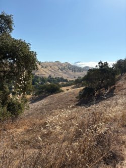 IMG_2464.JPEG
