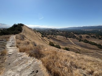 IMG_2477.JPEG