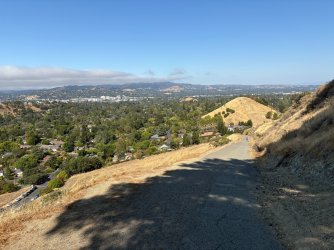 IMG_2471.JPEG