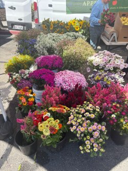 IMG_2512.JPEG