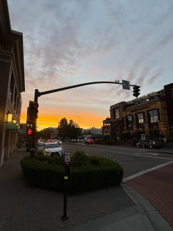 IMG_2514.JPEG