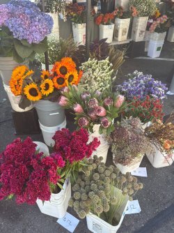 IMG_2503.JPEG