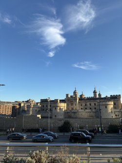 IMG_2579.jpeg