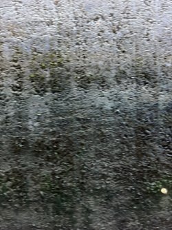 IMG_0329.JPG