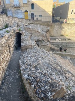 IMG_1946.jpeg