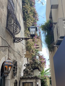 IMG_2005.jpeg