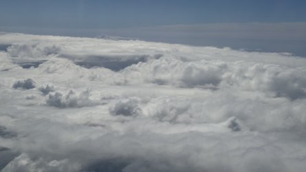 IMG_7797.jpeg