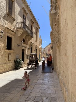 IMG_2682.jpeg
