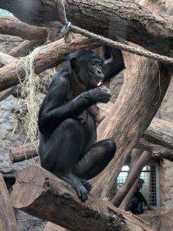 zoo2.jpg