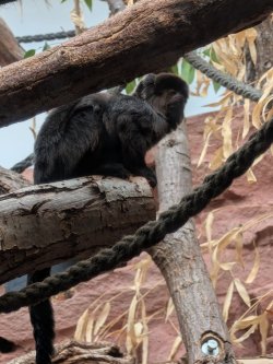 zoo3.jpg