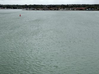 IMG_2998.jpg
