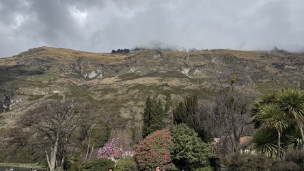 IMG_7980.jpeg
