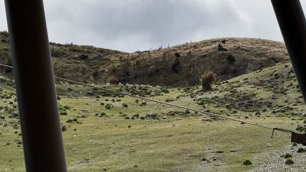 IMG_7984.jpeg