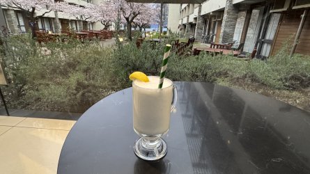 IMG_8033.jpeg